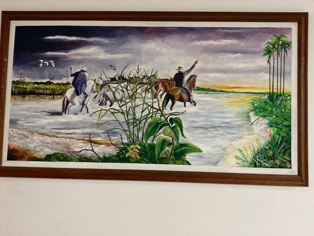 Refugio Llanero Hotel Boutique Villavo Centro 3K Aeropuerto فيلافيسينسيو المظهر الخارجي الصورة