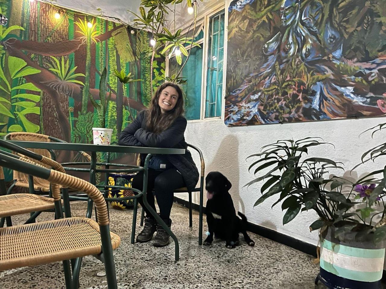 Refugio Llanero Hotel Boutique Villavo Centro 3K Aeropuerto فيلافيسينسيو المظهر الخارجي الصورة